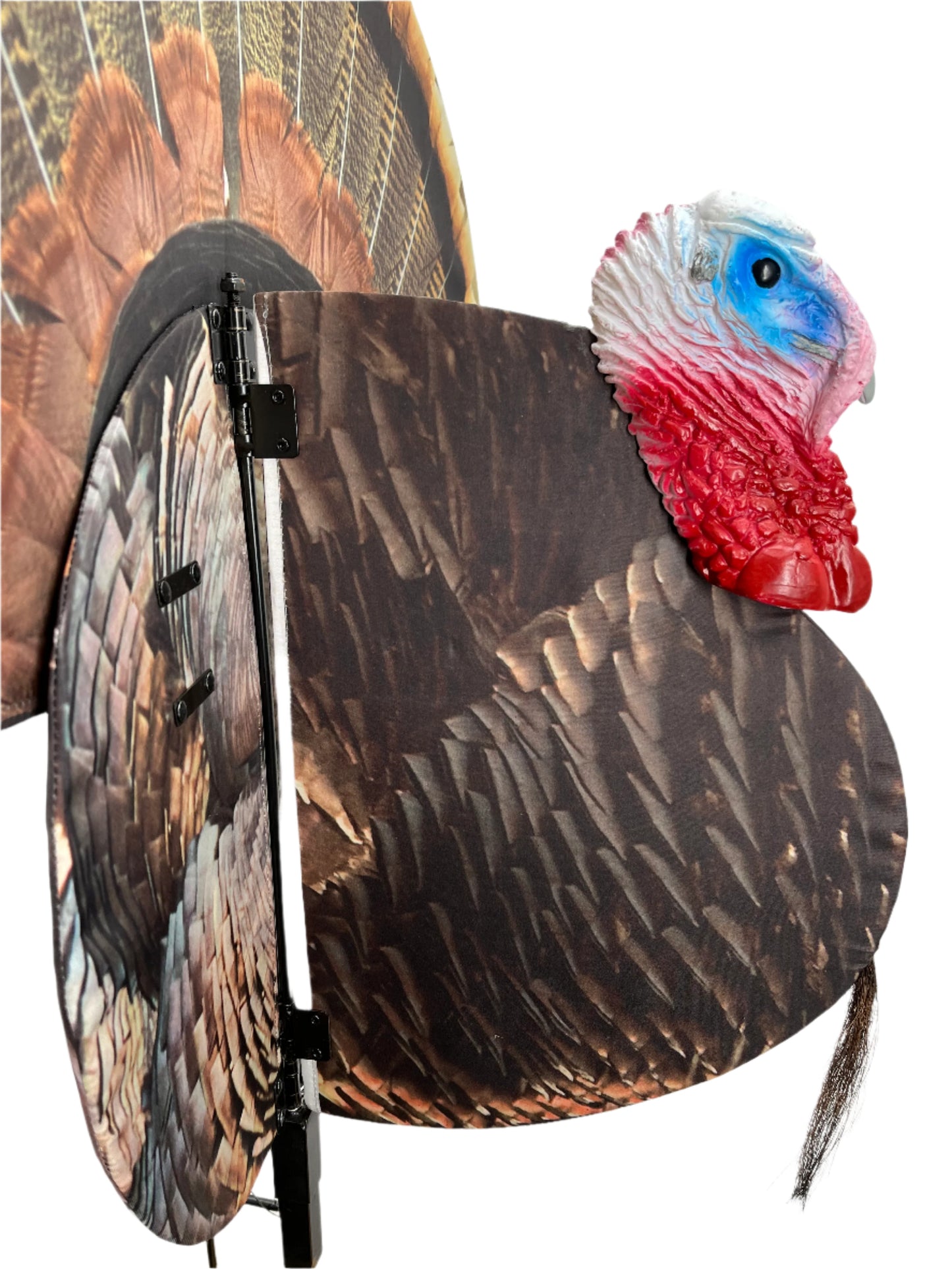 Hunting Turkey Decoy left side fanned open Fergy Boy Product